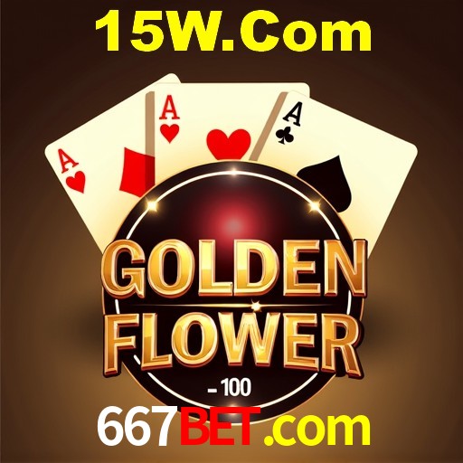 Programa VIP 667bet.com